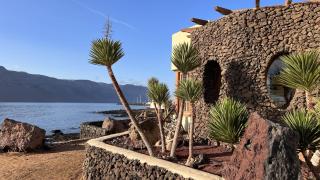 Flor de Cactus, La Graciosa - Caleta de Sebo - 5