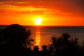 Omapere Beach Apartments - Opononi - 1