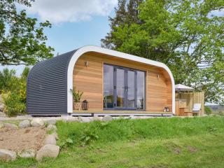 Freedom Fields - Bluebell - Straiton - 9