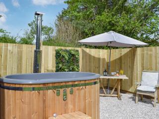 Freedom Fields - Bluebell - Straiton - 8
