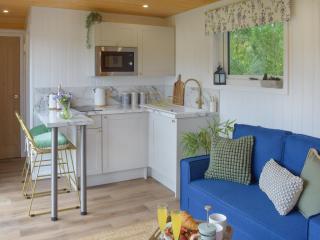 Freedom Fields - Bluebell - Straiton - 7