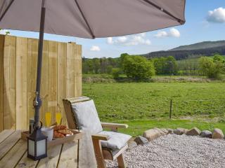 Freedom Fields - Bluebell - Straiton - 1