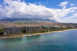 Best Ocean Views on Maui! Perfect for Honeymooners!! - Kahana - 1