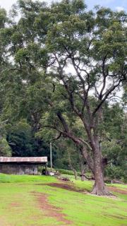 Kenti's Place - Tranquil Estate - Ravensbourne - 3