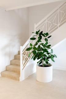 Pooch Friendly Renovated Beach Retreat with Views - Sunrise Beach - 5