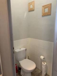 Jolie médocaine avec jardin - 2