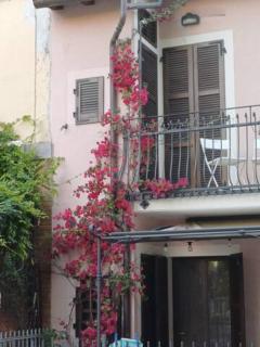 Bouganville House - Senigallia - 9