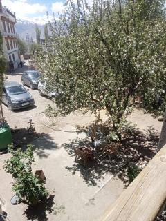 Abbreviate guest house - Leh - 5