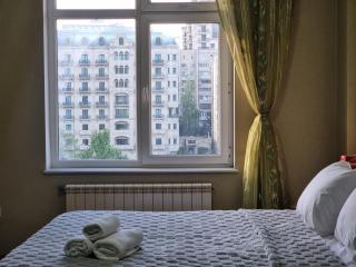 Winter Park apartment by Bakuapart - Baku - 1