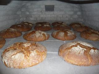 Landlust-Ferienhaus Am Rosenhof - 3