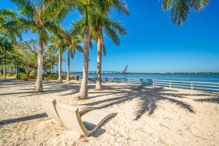 Palm Tree Paradise - Bradenton - 2