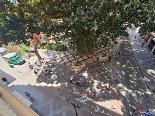 Manero Molla (Centro Alicante) - Alicante - 9