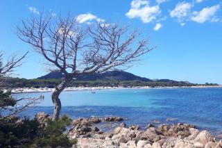 VILLA PIETRAMARINA CALA LIBEROTTO appartamento 5 posti - Cala Liberotto - 5