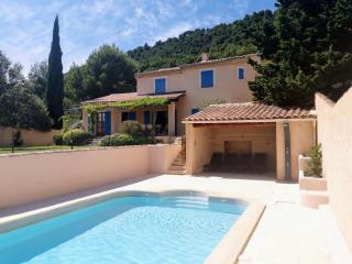 Beaumes-de-Venise - Magnifique villa au calme avec piscine ! Le rêve de Montmirail - Beaumes-de-Venise - 4