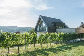 Weingut Holler Chalet - Spielfeld - 9