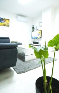 Green Oasis - - 2