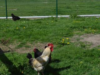 Charmante Chambre Coquelicot : calme, activités variées, accès indépendant, parking sécurisé. - FR-1-591-450 - 7
