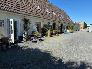 Strandhof Holnis - Glücksburg - 0