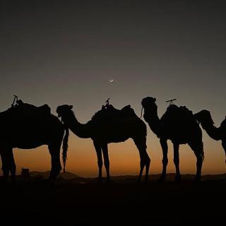 Authentic Luxury Camp - Merzouga - 6