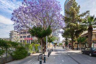 Urban Condo 10 - 2 Bdr - Nicosia - 7