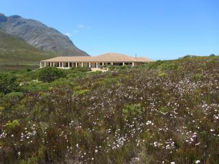 Kapensis Guesthouse (Pty) Ltd - Pringle Bay - 6