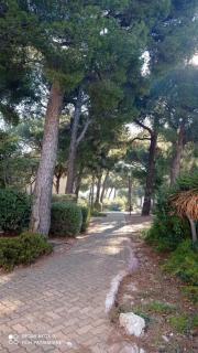 BLEU CASSIS-VINTAGE -3 Ch- Magnifique vue mer- Parking gratuit et Jardin - Cassis - 1