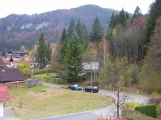 Ferienwohnungen Steigmühlenweg - Hinteregg - 1