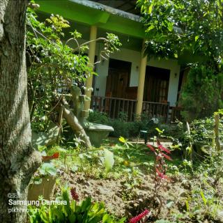 Pasan Guest - Ella - 9