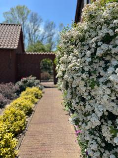 Elbwiesenhaus mit schönen Garten - 2