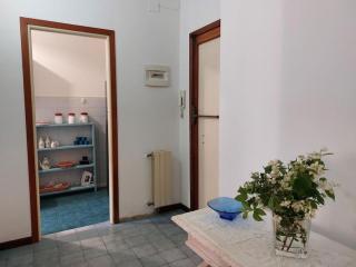 Casa Giuliana tra pineta e mare - Viareggio - 1