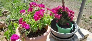 Smaro's House - 2