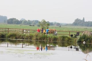 Ferienhof Am Birkensee 55125 - 1
