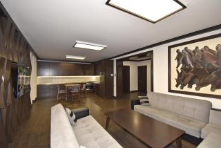 Luxury White House In Yerevan - Yerevan - 9