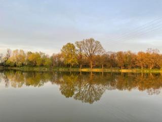 Domki pod Dębami - Mojęcice - 2