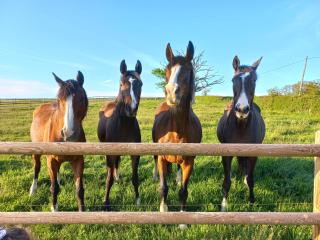 Tipi du petit villers - 8