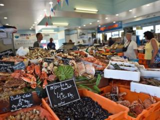 1 - Quartier des Cordiers accès funiculaire à 100m - 2