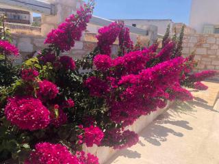 Marita's Retreat - Naousa - 4