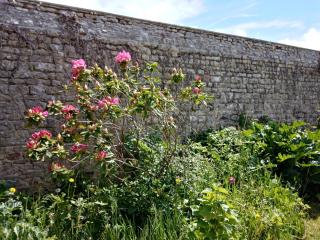 Rose Garden Bayeux - Bayeux - 8