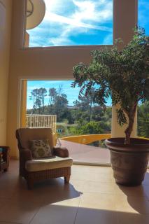 Casa das Oliveiras - OLIVE TREE - Monchique - 8