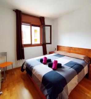 Apartaments Sort Pirineus - Sort - 8