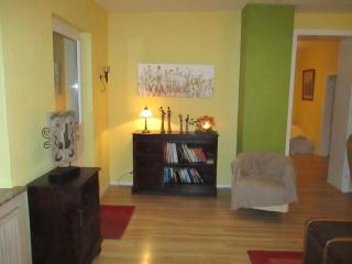 Große, hundefreundliche Ferienwohnung mit großer Terrasse in Flussnähe - 2