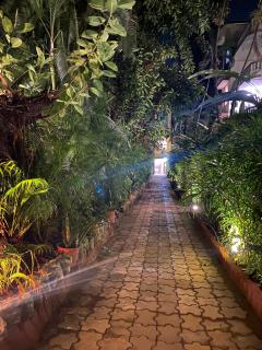 1BHK Apartment - Arpora - 6