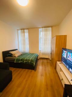 NeicApartmentGellergasse16 - 7