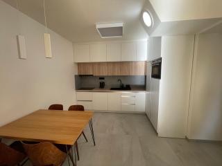 Apartmán v centru Ostravy s parkováním - Moravská Ostrava - 7