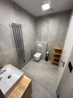 Apartmán v centru Ostravy s parkováním - Moravská Ostrava - 6