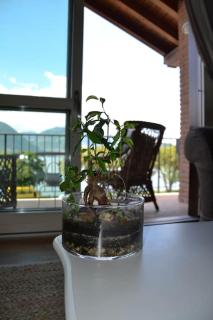Lilliput boutique apartment Sulzano - Sulzano - 5