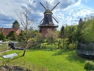 Ferienhaus Mühlchen 25585 - Weener - 6