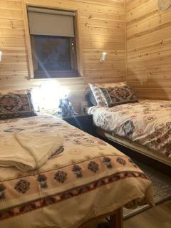Eco-friendly Cabins Cabin 1 - Norton Disney - 1