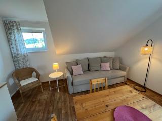 Apartment Brusinka - Kašperské Hory - 8