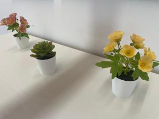 Annabella’s home - Agropoli - 3